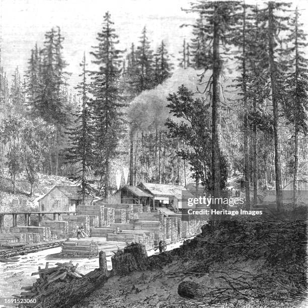 Saw mill in a forest of pines.; Ocean to Ocean, the Pacific railroad', 1875. From, 'Illustrated Travels' by H.W. Bates. [Cassell, Petter, and Galpin,...