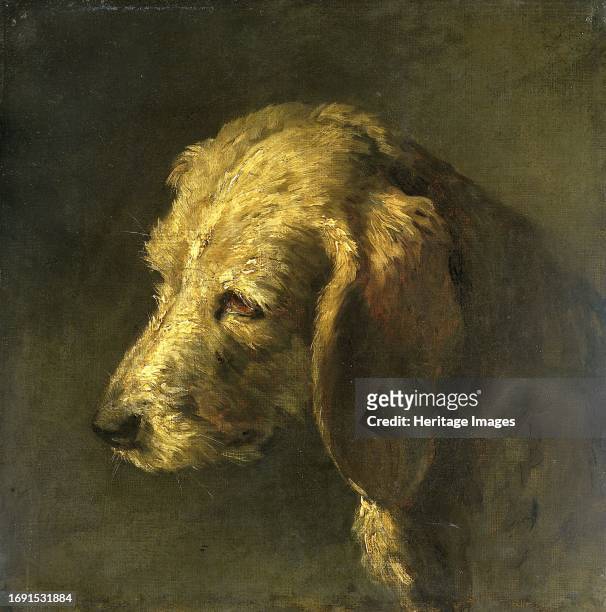 Head of a Dog, circa 1820Creator: Nicolas-Toussaint Charlet.