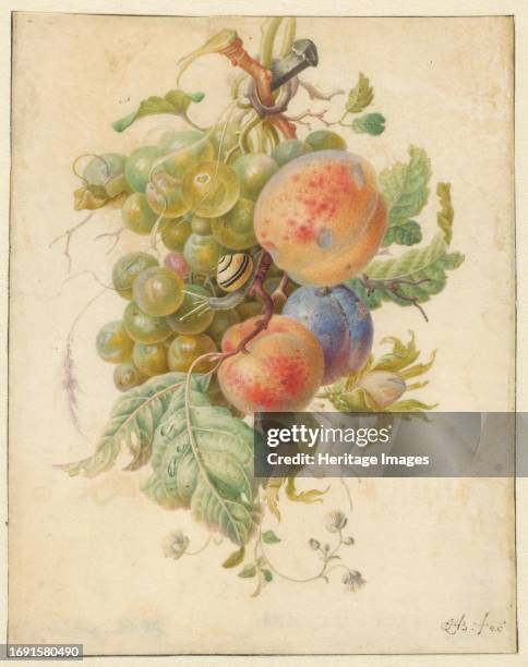 Fruit, 1677-1726. Festoon of fruit hanging on a nail. Creator: Herman Henstenburgh.