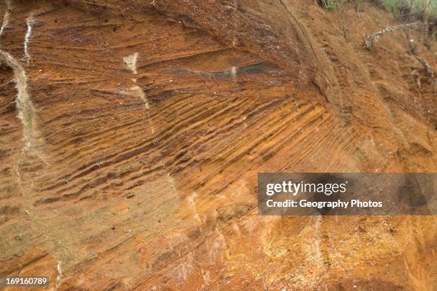 Rock Shell Mining Nest Mine Photos and Premium High Res Pictures - Getty Images
