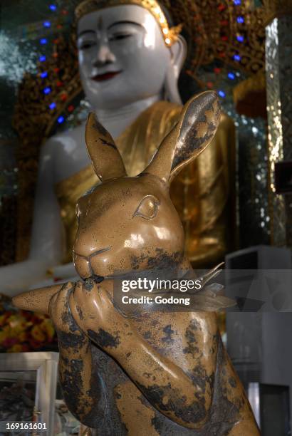 Buddha Ror Rabbit Ponya Photos and Premium High Res Pictures - Getty Images