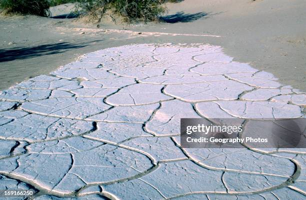 Desert environment Dried mud of former lake bed, Death Valley national park, California, USA
