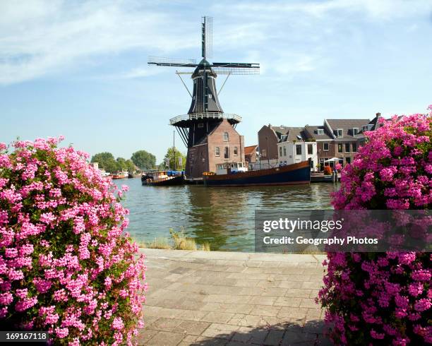 Moulin de Adriaan windmill, Haarlem, Holland