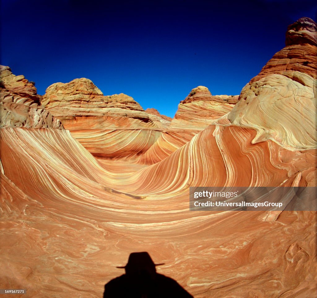 Hiker Examining the in The Wave 