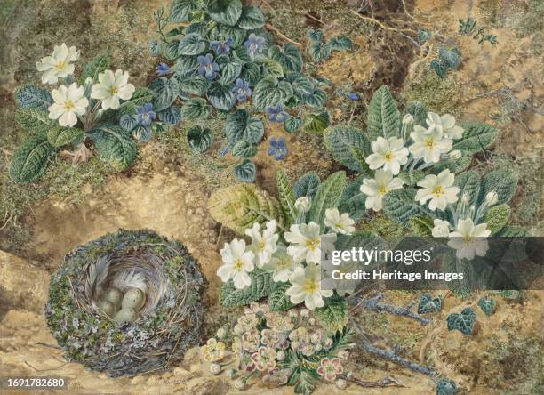 Still life of a bird's nest, violets, primroses and apple blossoms, 1872. Still life of a bird's nest, blooming March violets, white primroses and a...
