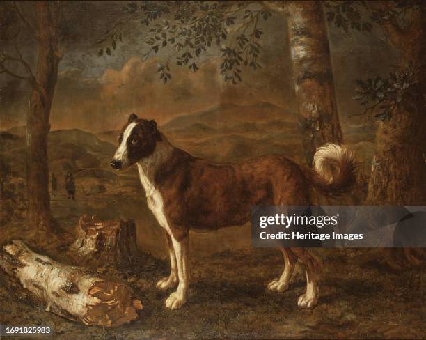 Dog and a Birch Log, unknown date. Creator: Govert Dircksz Camphuysen.