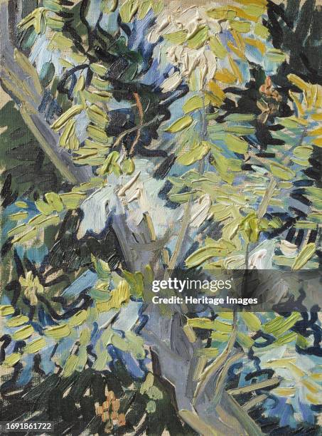 Acacia in Flowers, unknown date. Creator: Vincent van Gogh.