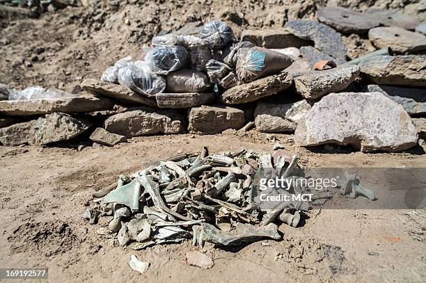 Animal bones recovered from the ancient ruins on the Aynak mine site have been dyed green by copper leaching into them from the surrounding soil and...