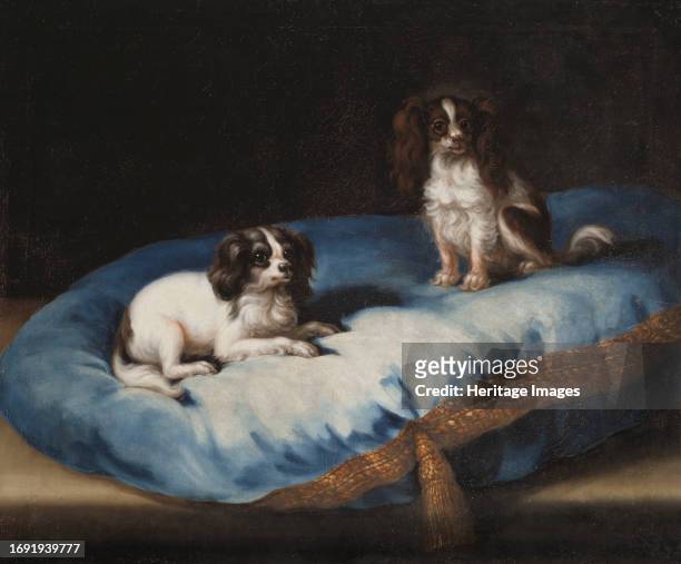 Two smaller dogs, circa 17th century. Creator: David Klocker Ehrenstrahl.