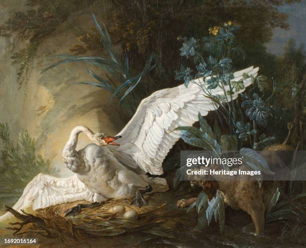 Water Spaniel Surprising a Swan on its Nest, 1740. Creator: Jean-Baptiste Oudry.