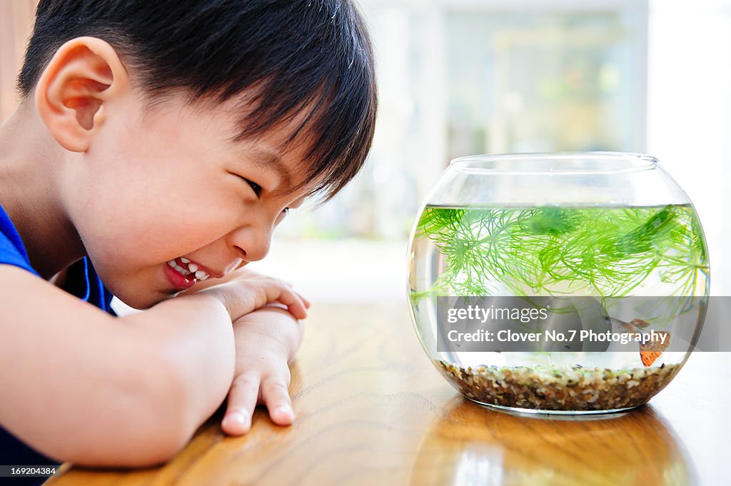 The boy looked at the fish in the fish tank.