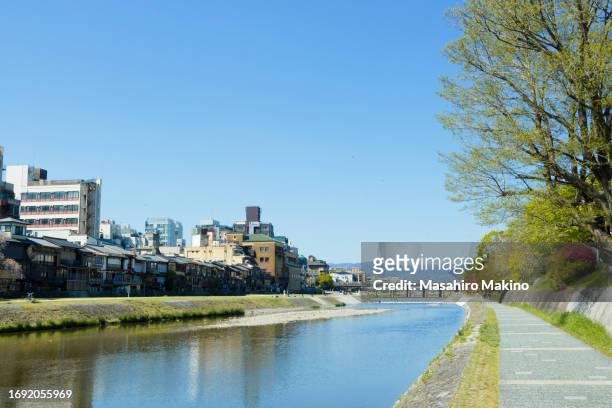early summer view of kamo river, kyoto city - kamo river stock pictures, royalty-free photos & images