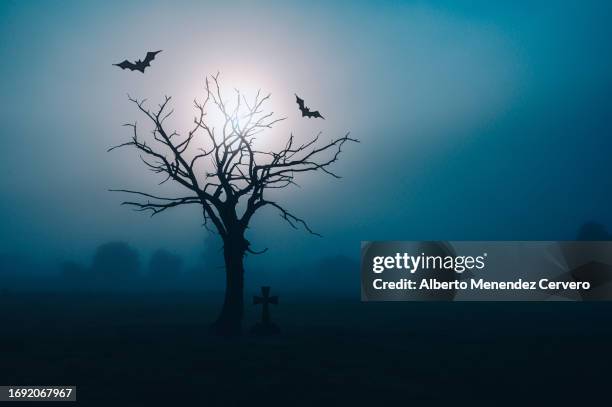 dry and dead tree with a dark appearance. - halloween text stock pictures, royalty-free photos & images