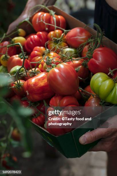 tomato in some paper basket - tasty stock pictures, royalty-free photos & images