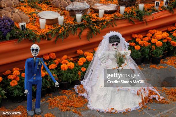 day of the dead [día de los muertos] papier mache bride and groom catrin and catrina sculpture decorations, tepotzotlán, mexico state, mexico - the catrina and the catrin 個照片及圖片檔