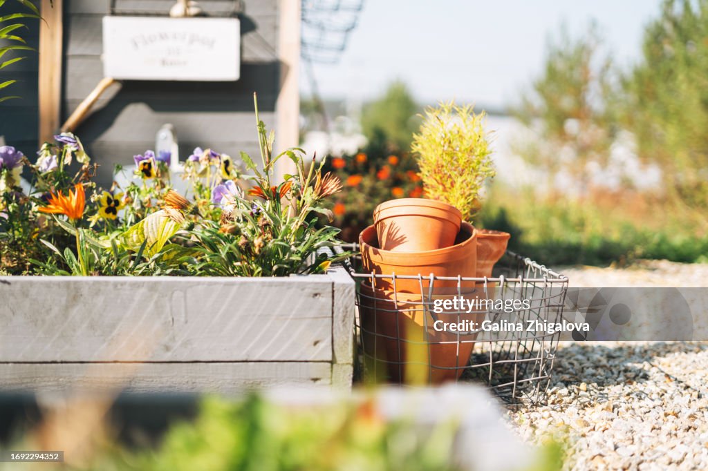 Wooden box with flowers, details of garden decor in the backyard of house