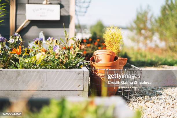 wooden box with flowers, details of garden decor in the backyard of house - trädgård bildbanksfoton och bilder