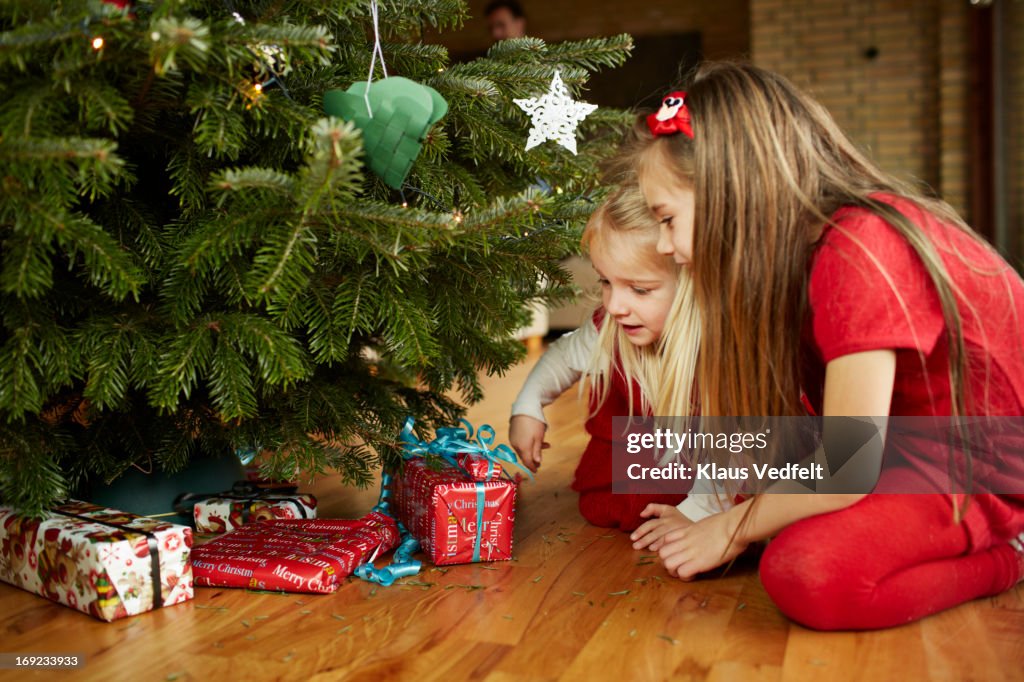 Cute girls grabbing presents under christmas tree