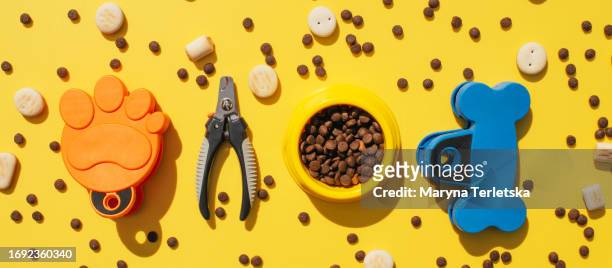 animal food and accessories. food bowl. pets cats and dogs. diet for animals. pet shop. veterinarian. pet care. - veterinarian background stock pictures, royalty-free photos & images