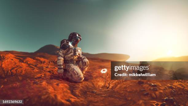 astronaut on a mission in space finds flower on alien planet - alien planet space stock pictures, royalty-free photos & images