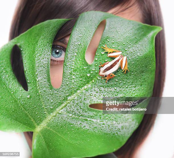 mujer oculta tras la hoja verde, rana en la hoja - hoja te verde stockfoto's en -beelden