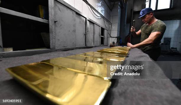 Manufacturing Gold 504 Gold Refining Stock Photos, High-Res Pictures, and Images - Getty ...