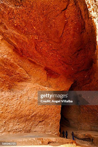 Mdulas Detail High-Res Stock Photo