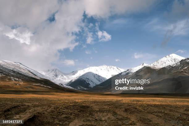 vista otoñal del valle amarillo de las tierras altas y las montañas nevadas en el fondo - montañas de tien shan fotografías e imágenes de stock