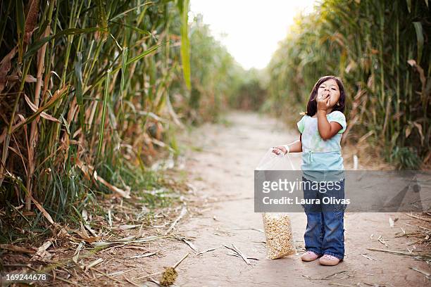 toddler eats popcorn in corn maze - corn maze stock-fotos und bilder