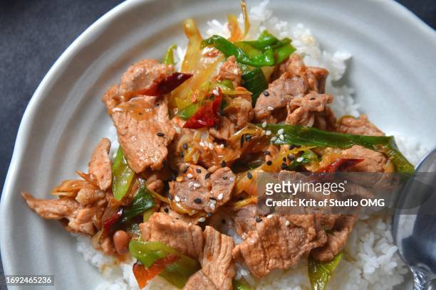 stir-fried pork with bunching onion on rice - scallion brush stock pictures, royalty-free photos & images