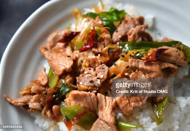 stir-fried pork with bunching onion on rice - scallion brush stock pictures, royalty-free photos & images