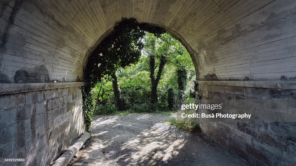 Concrete tunnel with woodland in the background
