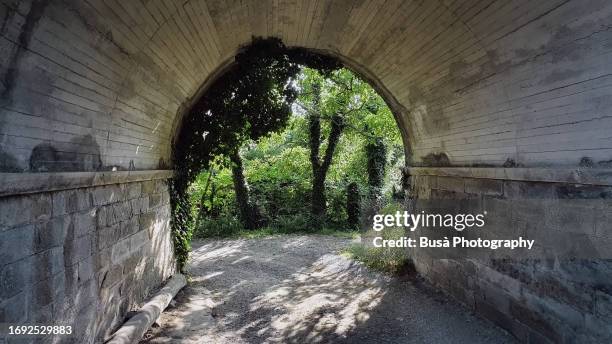 concrete tunnel with woodland in the background - way out sign stock pictures, royalty-free photos & images
