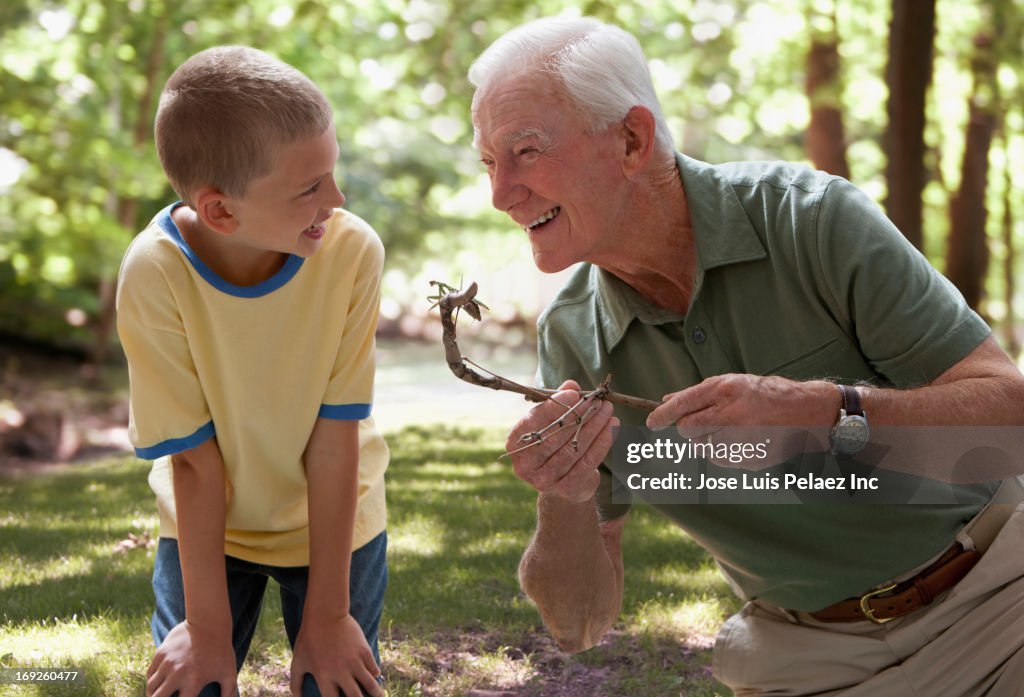 Caucasian man and grandson examining caterpillar