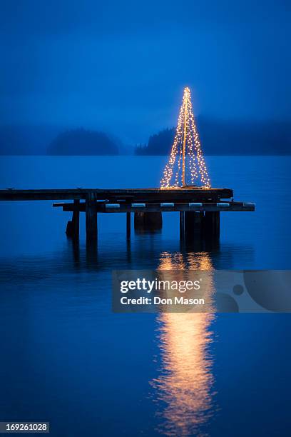 string of lights in tree shape on wooden pier - lake whatcom bildbanksfoton och bilder