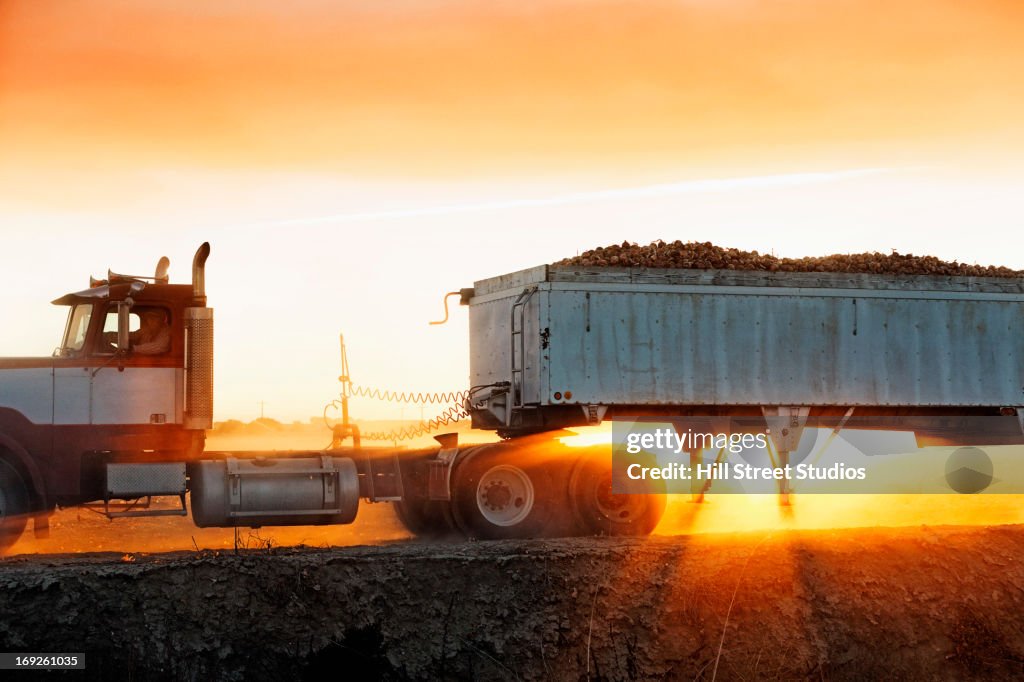 Truck carrying produce in crop field