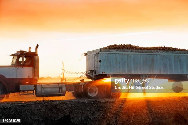 truck carrying produce in crop field - onion field stock pictures, royalty-free photos & images