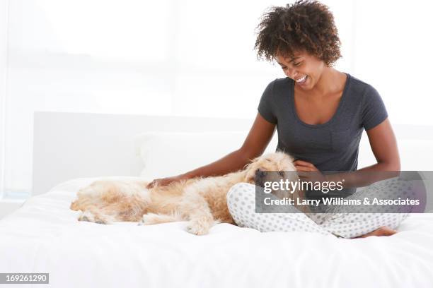 black woman petting dog on bed - bed on white background stock pictures, royalty-free photos & images
