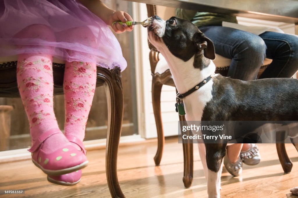 Girl giving dog food under table