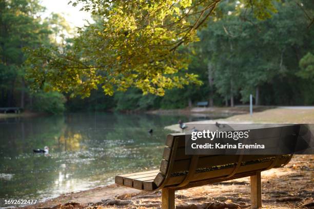 park-marsh-trails - the woodlands texas stock pictures, royalty-free photos & images