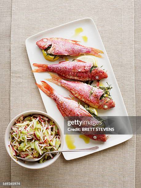 plate of grilled millet with coleslaw - radish vinaigrette stock pictures, royalty-free photos & images