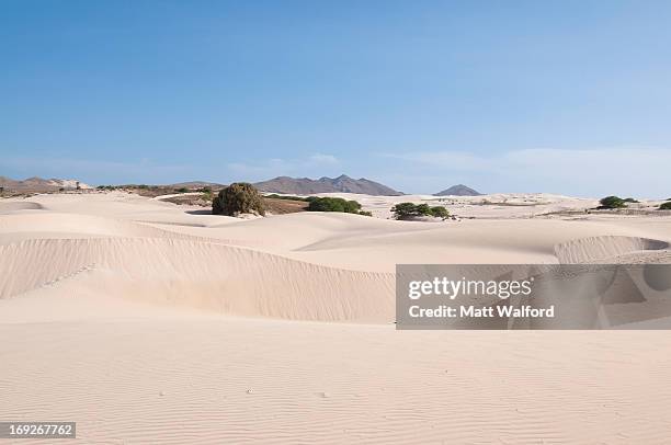 sand dunes in desert landscape - cabo verde stock-fotos und bilder