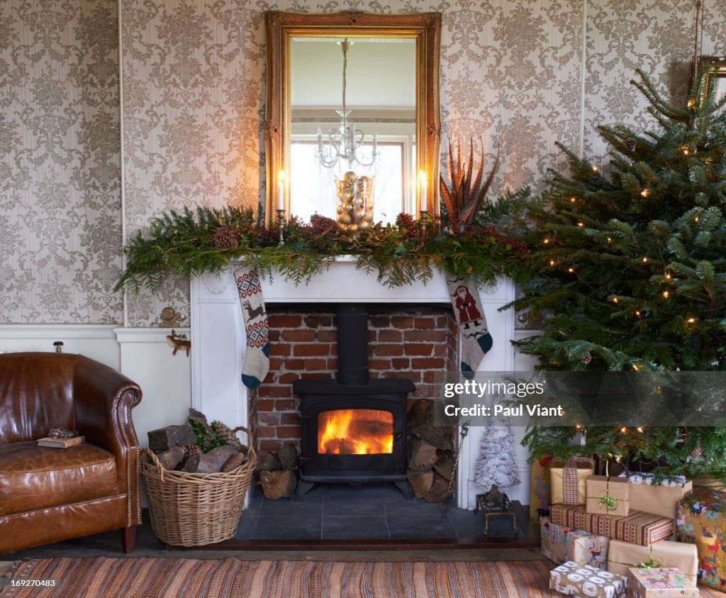 Christmas tree and fireplace in living room
