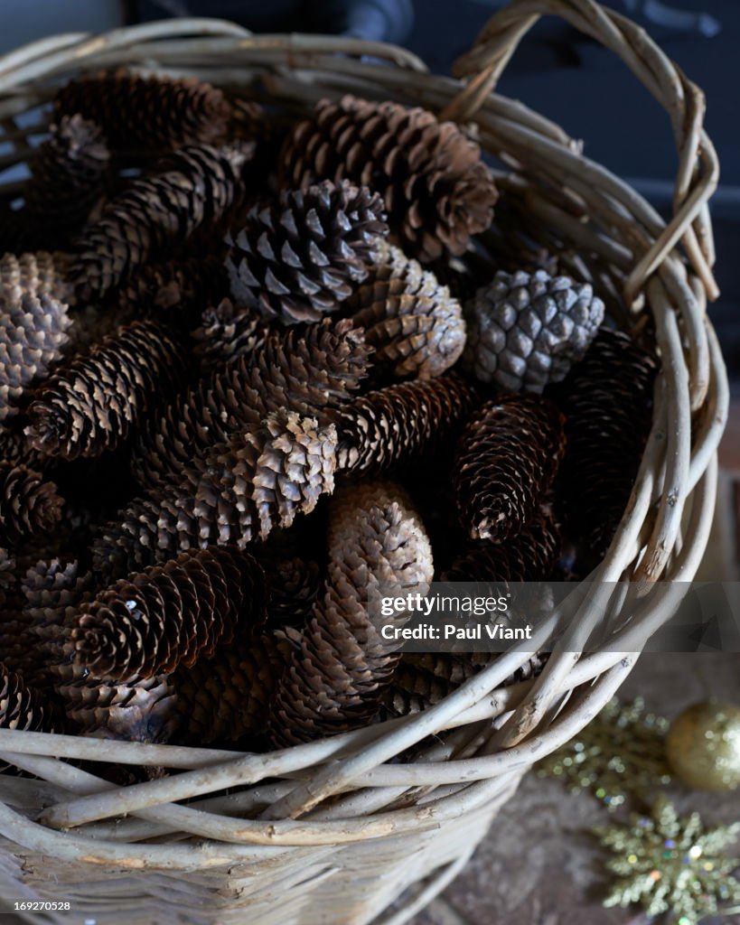 Close up of basket of pine cones