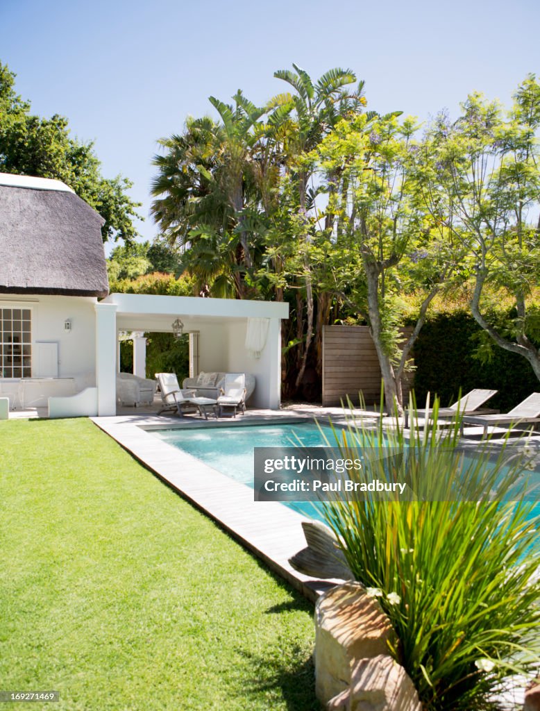 Lawn chairs and swimming pool in backyard