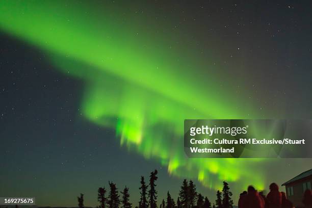 aurora borealis over trees - glow rm fotografías e imágenes de stock