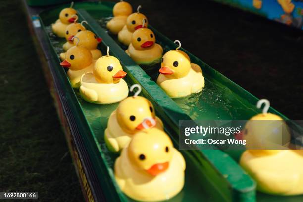 toy ducks in a pool water at carnival game of chance - fairground stall stock pictures, royalty-free photos & images