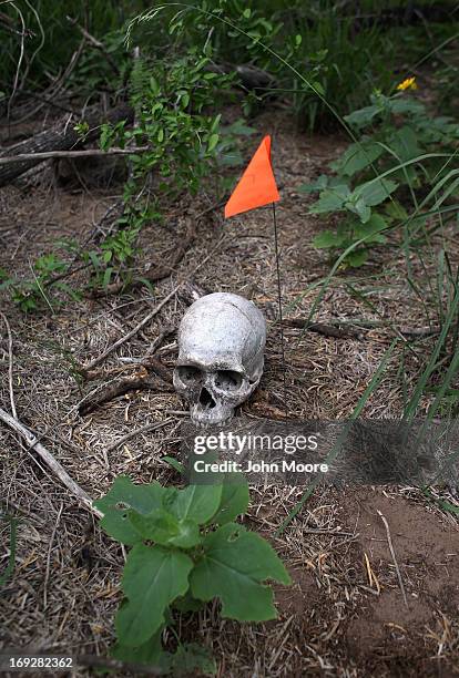 Flag marks the spot where the skull of a suspected undocumented immigrant was found by the U.S. Border Patrol on a ranch on May 22, 2013 in...