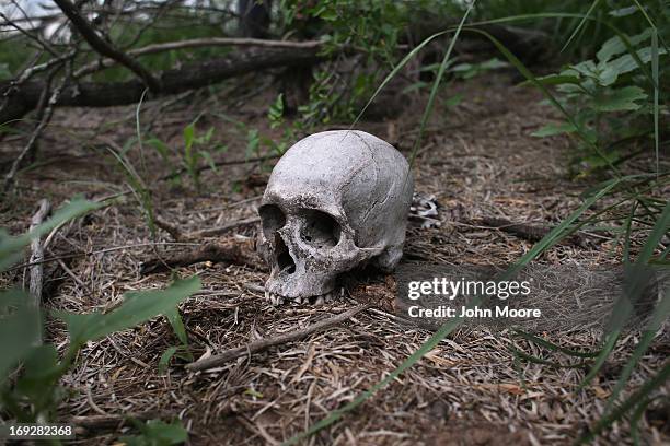 The skull of a suspected undocumented immigrant lies where it was found by the U.S. Border Patrol on a ranch on May 22, 2013 in Falfurrias, Brooks...