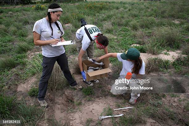 Anthropology students collect human bones of a suspected undocumented immigrant scattered on a ranch and found by the U.S. Border Patrol on May 22,...